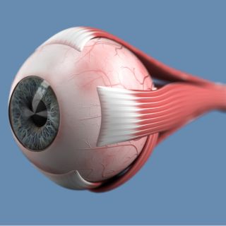 Riduzione dell'affaticamento oculare